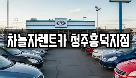 충북 청주시 상당구 남일면 렌트카 전문 차놀자렌트카 청주흥덕지점