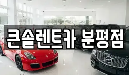 충북 청주시 상당구 남일면 렌트카 전문 큰솔렌트카 분평점