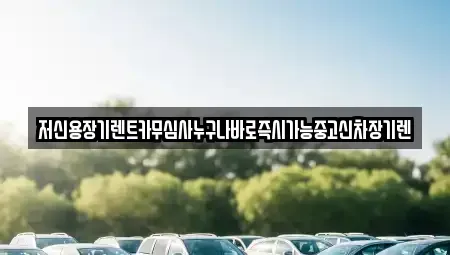 충북 청주시 상당구 남일면 장기렌트카 전문 저신용장기렌트카무심사누구나바로즉시가능중고신차장기렌