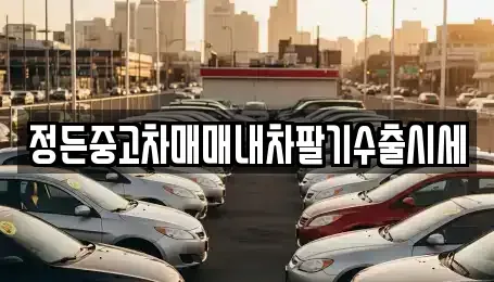 충북 청주시 상당구 남일면 중고차매매 전문 정든중고차매매내차팔기수출시세
