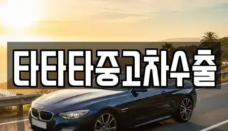 충북 청주시 상당구 남일면 중고차매매 전문 타타타중고차수출
