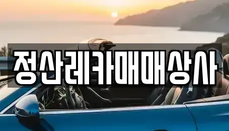 충북 청주시 서원구 남이면 중고차 전문 정산레카매매상사