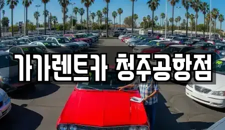 충북 청주시 청원구 내수읍 렌트카 전문 가가렌트카 청주공항점