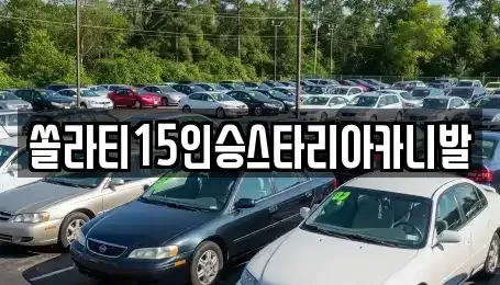 충북 충주시 종민동 렌트카 전문 쏠라티15인승스타리아카니발