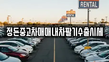 충북 충주시 종민동 중고차 전문 정든중고차매매내차팔기수출시세