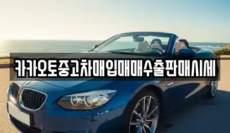 충청남도 공주시 석장리동 중고차 전문 카카오토중고차매입매매수출판매시세