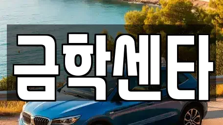 충청남도 공주시 오곡동 중고차 전문 금학센타
