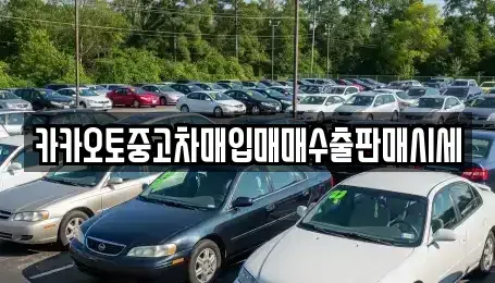 충청남도 공주시 오곡동 중고차매매 전문 카카오토중고차매입매매수출판매시세
