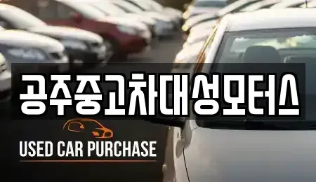 충청남도 공주시 우성면 중고차 전문 공주중고차대성모터스