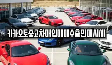 충청남도 공주시 우성면 중고차매입 전문 카카오토중고차매입매매수출판매시세