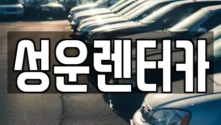 충청남도 금산군 추부면 렌트카 전문 성운렌터카