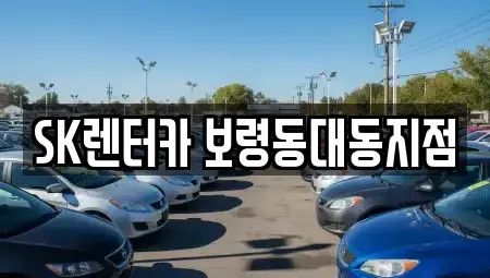 충청남도 보령시 내항동 장기렌트카 전문 SK렌터카 보령동대동지점