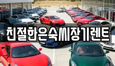 충청남도 보령시 내항동 장기렌트카,중고차,렌트카,단기렌트카,중고차매입,중고차매매