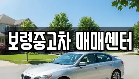 충청남도 보령시 내항동 중고차 전문 보령중고차 매매센터