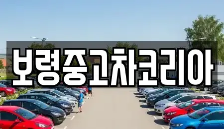 충청남도 보령시 내항동 중고차 전문 보령중고차코리아