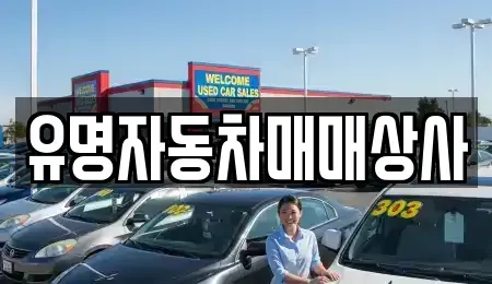충청남도 보령시 내항동 중고차 전문 유명자동차매매상사