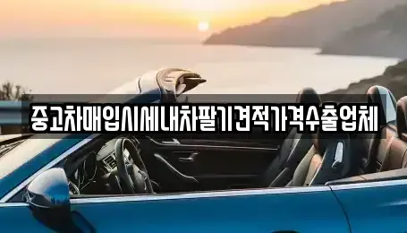 충청남도 보령시 내항동 중고차매입 전문 중고차매입시세내차팔기견적가격수출업체