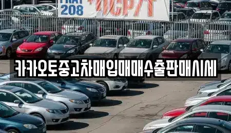충청남도 보령시 내항동 중고차매입 전문 카카오토중고차매입매매수출판매시세