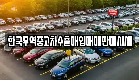 충청남도 보령시 내항동 중고차매입 전문 한국무역중고차수출매입매매판매시세