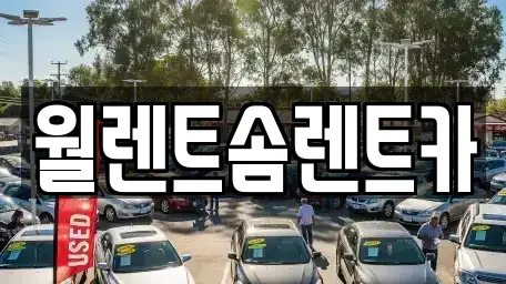 충청남도 아산시 법곡동 렌트카 전문 월렌트솜렌트카