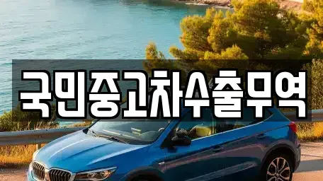 충청남도 아산시 송악면 중고차매매 전문 국민중고차수출무역