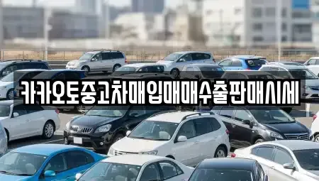 충청남도 아산시 송악면 중고차매매 전문 카카오토중고차매입매매수출판매시세