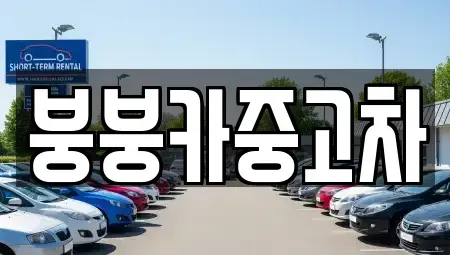 충청북도 단양군 영춘면 중고차매매 전문 붕붕카중고차
