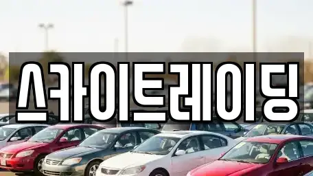 충청북도 제천시 명지동 중고차 전문 스카이트레이딩