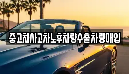 충청북도 제천시 명지동 중고차매입 전문 중고차사고차노후차량수출차량매입