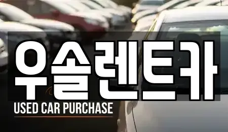 충청북도 청주시 흥덕구 수의동 렌트카 전문 우솔렌트카