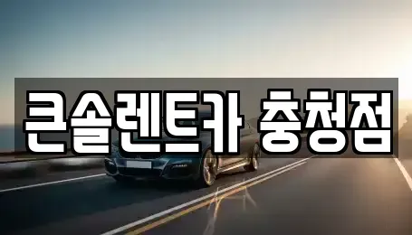 충청북도 청주시 흥덕구 수의동 렌트카 전문 큰솔렌트카 충청점
