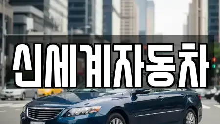 충청북도 청주시 흥덕구 수의동 중고차 전문 신세계자동차