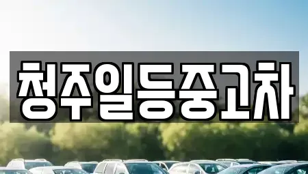 충청북도 청주시 흥덕구 수의동 중고차 전문 청주일등중고차