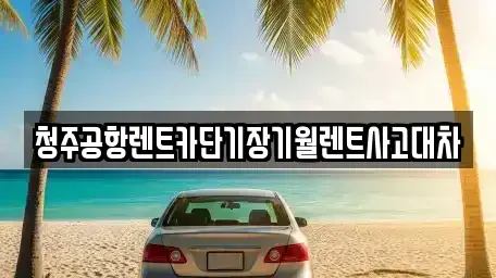 충청북도 청주시 흥덕구 운천동 단기렌트카 전문 청주공항렌트카단기장기월렌트사고대차