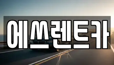 충청북도 청주시 흥덕구 운천동 렌트카 전문 에쓰렌트카