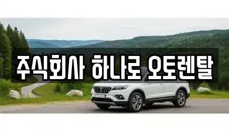 충청북도 청주시 흥덕구 운천동 렌트카 전문 주식회사 하나로 오토렌탈