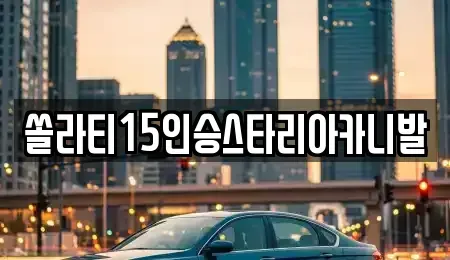 충청북도 충주시 중앙탑면 렌트카 전문 쏠라티15인승스타리아카니발