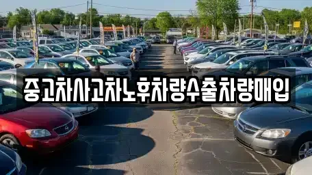 충청북도 충주시 중앙탑면 중고차매매 전문 중고차사고차노후차량수출차량매입