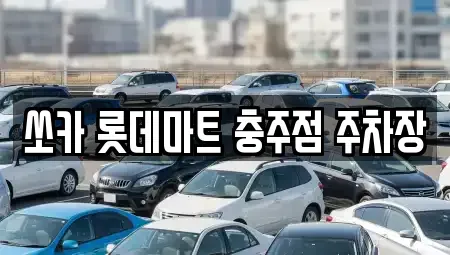 충청북도 충주시 칠금동 렌트카 전문 쏘카 롯데마트 충주점 주차장