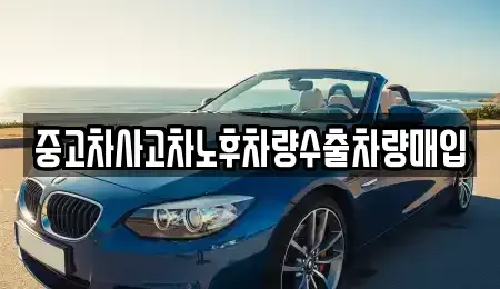 충청북도 충주시 칠금동 중고차 전문 중고차사고차노후차량수출차량매입