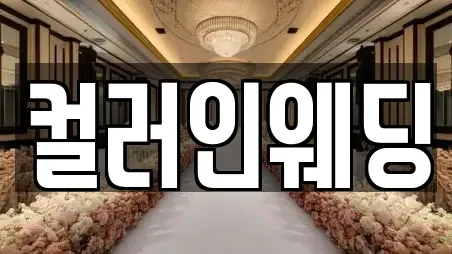 컬러인웨딩