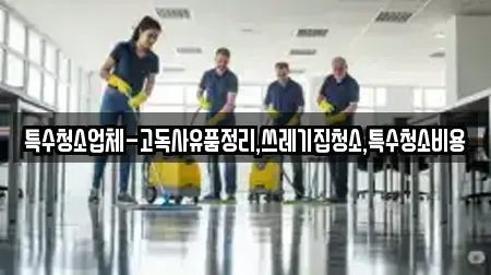 특수청소업체-고독사유품정리,쓰레기집청소,특수청소비용
