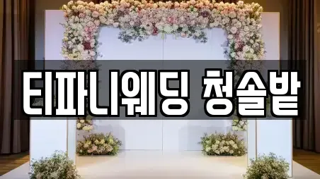 티파니웨딩 청솔밭