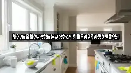 하수구뚫음하수도막힘뚫는곳정화조막힘횡주관오주관청소맨홀역류